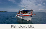 Fishpicnic_Lika