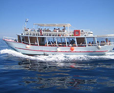 Bootsausflug_Sibenik_3